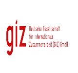 Giz