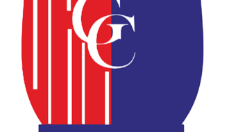 guinea consulting
