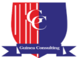 LOGO PNG GUINEA CONSULTING (2) (1)