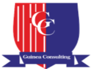 LOGO PNG GUINEA CONSULTING (2)